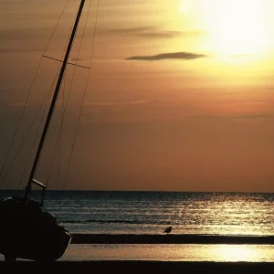 Low Tide | One