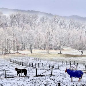 A Cold Day