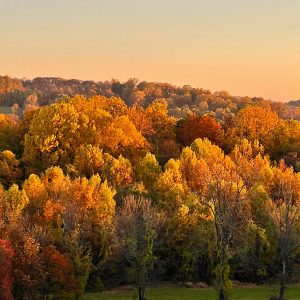 Early Fall Morning