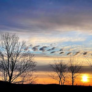 Early Spring Sunrise