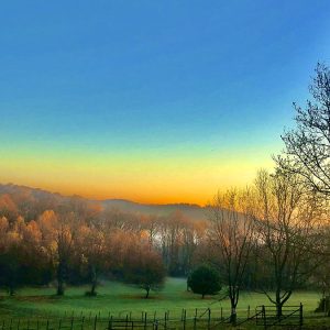 Fall Morning Magic