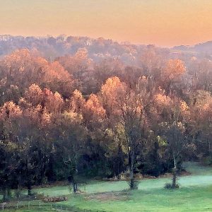 Fall Sunrise