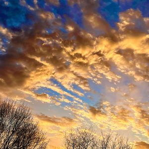 Golden Sunrise