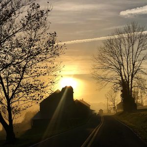 Hillside Sunrise