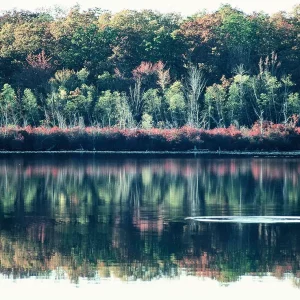 Ripple