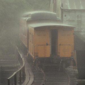Into The Mist