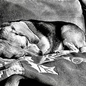 Naptime For Eddie