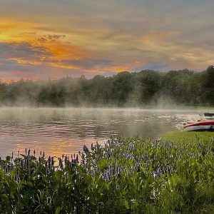Evening On The Pond