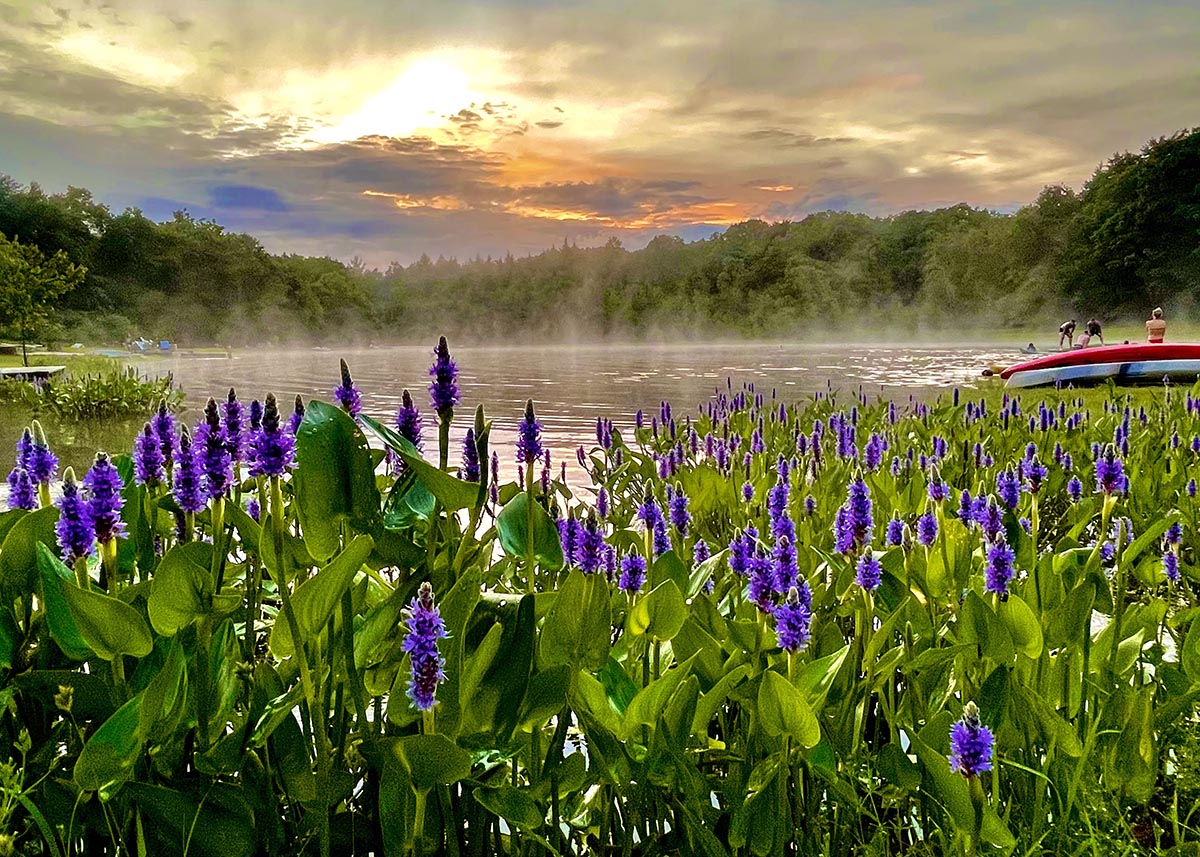 Misty Waters