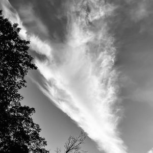 High Flying Cloud (B&W)