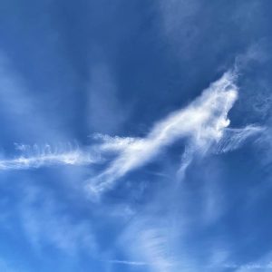 Cloud Critter