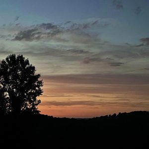 A Quiet Evening