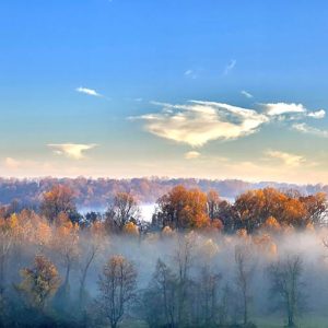 Morning Autumn Mist - Panoramic