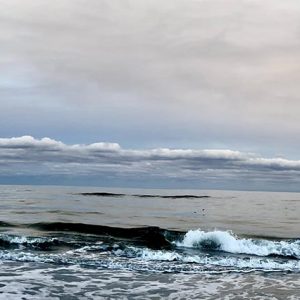 Cold Water Surf - Panoramic
