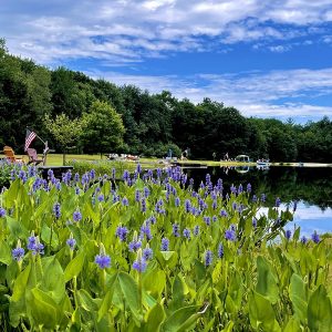 Jones Pond