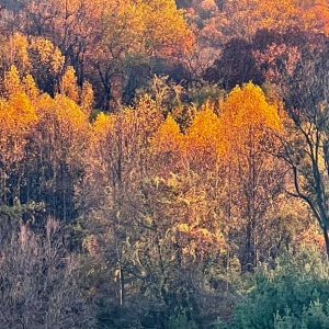 Last Days Of Autumn 2