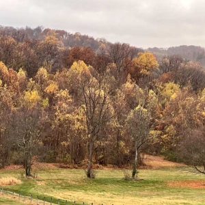 Last Days Of Autumn 4