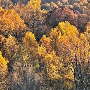Last Days of Autumn 3