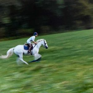 Running With The Wind