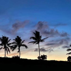 Tropical